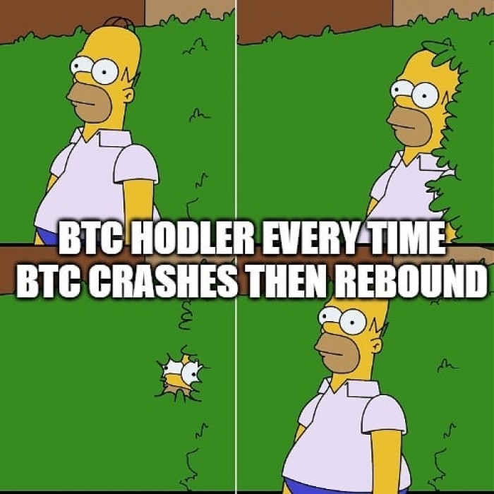 BTC rebound meme