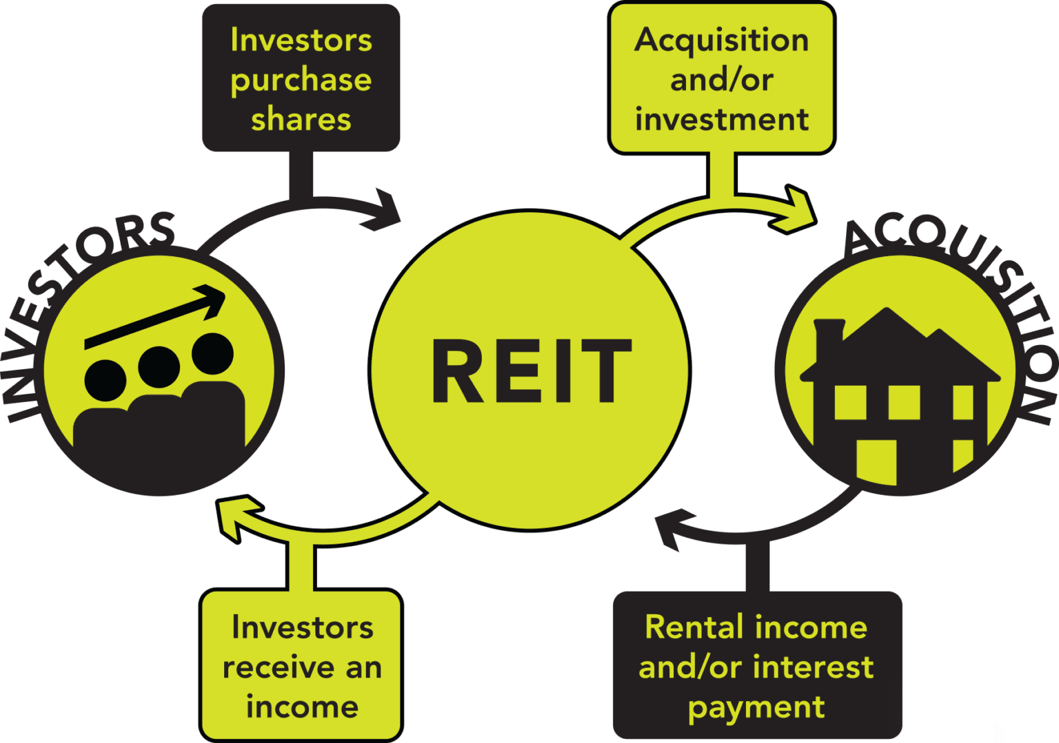 REIT Investments in India Random Dimes