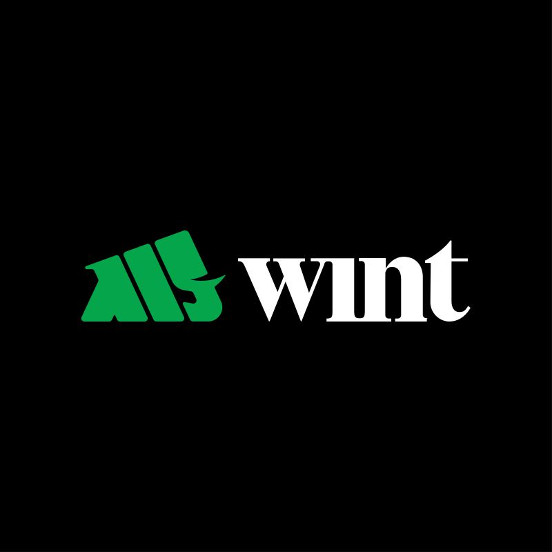 wint wealth review